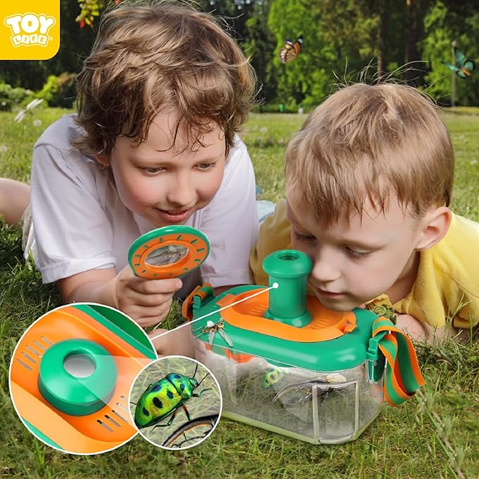 Atrapasueños de mariposas y in - Outdoor Adventure Toys reseña y precio