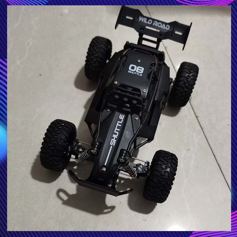 Coche RC 1:16 de Alta Velocida - Outdoor Adventure Toys reseña y precio
